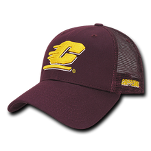 ION College Central Michigan University Instrucktion Hat - by W Republic