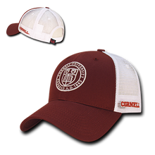 ION College Cornell University Instrucktion Hat - by W Republic