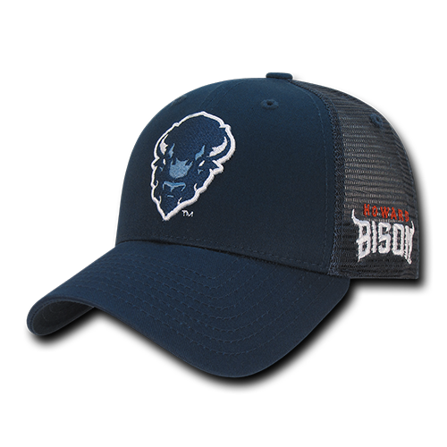 ION College Howard University Instrucktion Hat - by W Republic