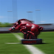 ION College University of Arkansas Razorback "Tusk" Stone Mascot