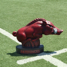 ION College University of Arkansas Razorback "Tusk" Stone Mascot