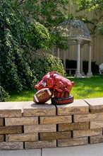 ION College University of Arkansas Razorback "Tusk" Stone Mascot