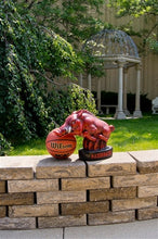 ION College University of Arkansas Razorback "Tusk" Stone Mascot