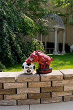 ION College University of Arkansas Razorback "Tusk" Stone Mascot