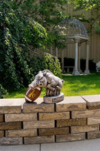 ION College University of Arkansas Razorback "Tusk" Stone Mascot