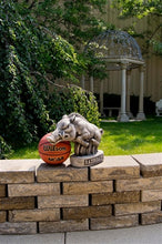 ION College University of Arkansas Razorback "Tusk" Stone Mascot