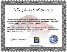 ION College University of Arkansas Razorback "Tusk" Stone Mascot