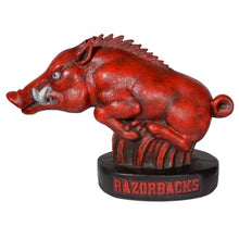 ION College University of Arkansas Razorback "Tusk" Stone Mascot
