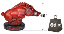 ION College University of Arkansas Razorback "Tusk" Stone Mascot