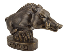 ION College University of Arkansas Razorback "Tusk" Stone Mascot