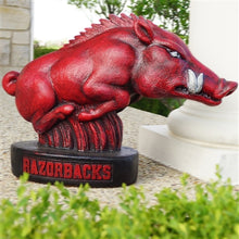 ION College University of Arkansas Razorback "Tusk" Stone Mascot