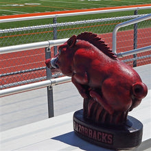 ION College University of Arkansas Razorback "Tusk" Stone Mascot