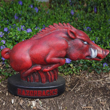 ION College University of Arkansas Razorback "Tusk" Stone Mascot