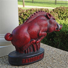 ION College University of Arkansas Razorback "Tusk" Stone Mascot