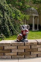 ION College University of Alabama "Big Al" Stone Mascot