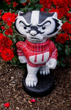 ION College University of Wisconsin "Bucky Badger" Stone Mascot