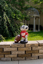 ION College University of Wisconsin "Bucky Badger" Stone Mascot