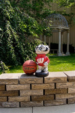 ION College University of Wisconsin "Bucky Badger" Stone Mascot