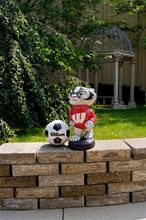 ION College University of Wisconsin "Bucky Badger" Stone Mascot