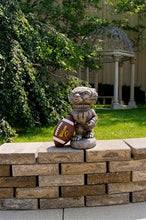 ION College University of Wisconsin "Bucky Badger" Stone Mascot