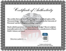 ION College University of Wisconsin "Bucky Badger" Stone Mascot