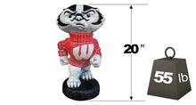 ION College University of Wisconsin "Bucky Badger" Stone Mascot
