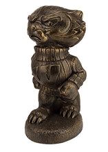 ION College University of Wisconsin "Bucky Badger" Stone Mascot