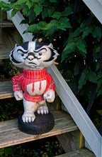 ION College University of Wisconsin "Bucky Badger" Stone Mascot