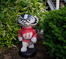 ION College University of Wisconsin "Bucky Badger" Stone Mascot