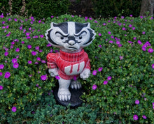 ION College University of Wisconsin "Bucky Badger" Stone Mascot