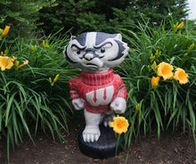 ION College University of Wisconsin "Bucky Badger" Stone Mascot