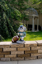 ION College University of North Carolina "Ramses" Stone Mascot