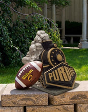 ION College Purdue University Locomotive Stone Mascot