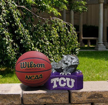ION College Texas Christian University TCU Horned Frog Stone Mascot