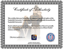 ION College Vanderbilt University "Mr. C" Stone Mascot