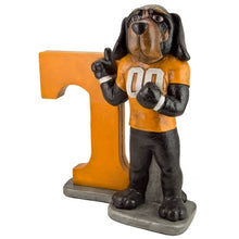 ION College University of Tennessee "Smokey" Stone Mascot