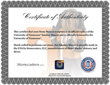 ION College University of Tennessee "Smokey" Stone Mascot