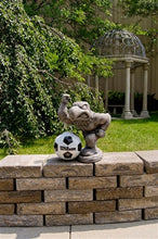 ION College University of Iowa "Herky the Hawk" Stone Mascot