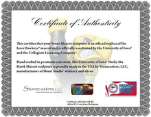 ION College University of Iowa "Herky the Hawk" Stone Mascot