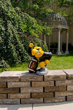 ION College University of Iowa "Herky the Hawk" Stone Mascot
