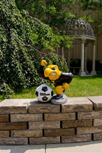 ION College University of Iowa "Herky the Hawk" Stone Mascot