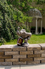 ION College University of Iowa "Herky the Hawk" Stone Mascot