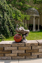 ION College University of Iowa "Herky the Hawk" Stone Mascot