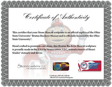 ION College Ohio State University "Brutus Buckeye" Stone Mascot