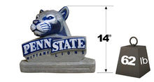 ION College Penn State University Nittany Lion Stone Mascot