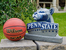 ION College Penn State University Nittany Lion Stone Mascot