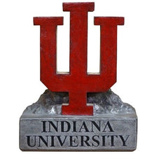 ION College Indiana University IU Trident Stone Mascot