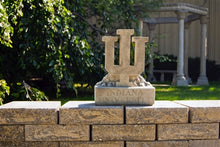 ION College Indiana University IU Trident Stone Mascot