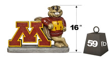 ION College University of Minnesota "Goldy Gopher" Stone Mascot