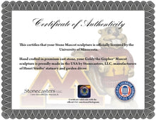 ION College University of Minnesota "Goldy Gopher" Stone Mascot